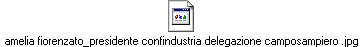 amelia fiorenzato_presidente confindustria delegazione camposampiero .jpg