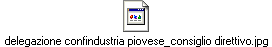 delegazione confindustria piovese_consiglio direttivo.jpg